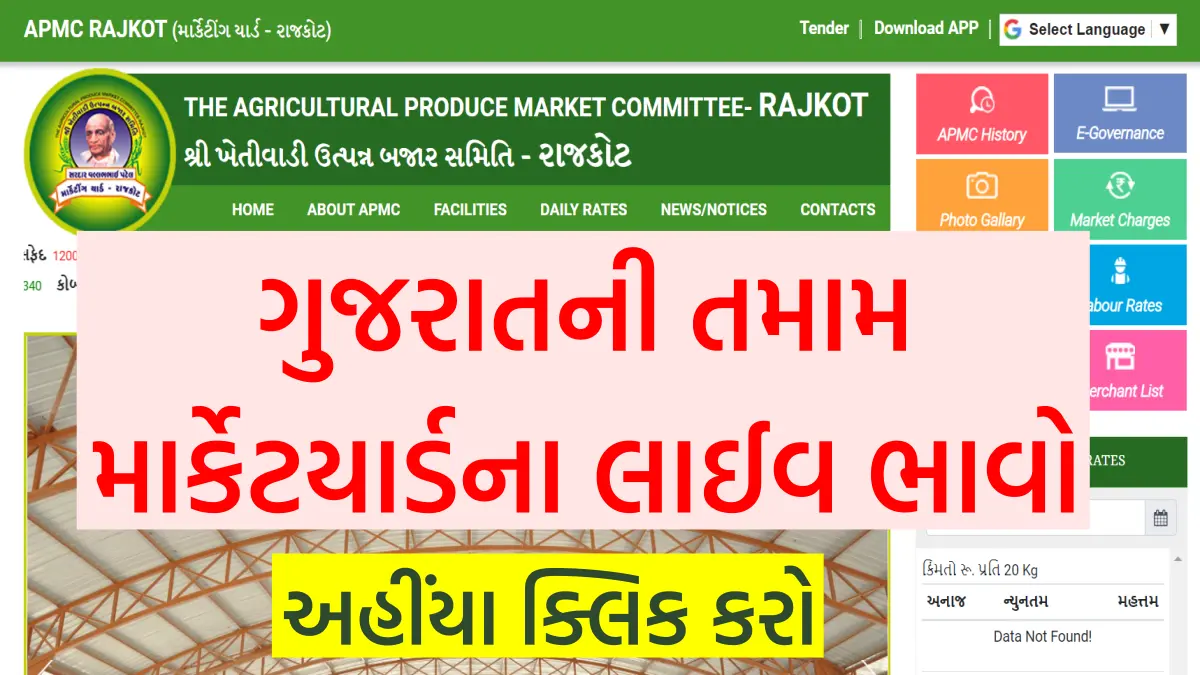 Gondal Market Yard Bhav